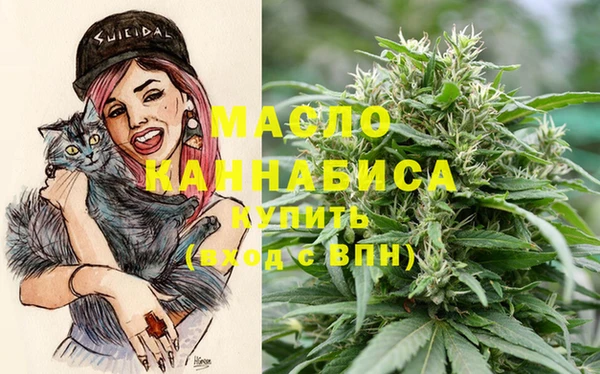 дмт Богданович