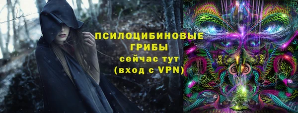 дмт Богданович