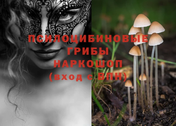 герыч Бородино
