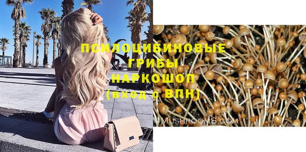 герыч Бородино