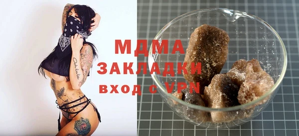 дмт Богданович