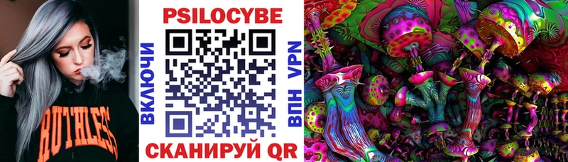 Галлюциногенные грибы прущие грибы закладка Гусь-Хрустальный